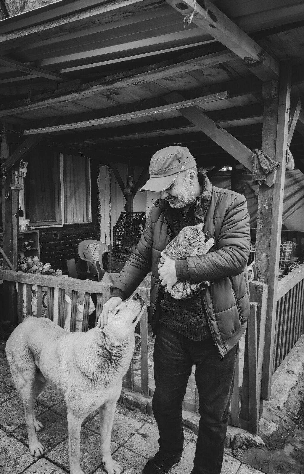 A person holding a cat while gently caring for a dog